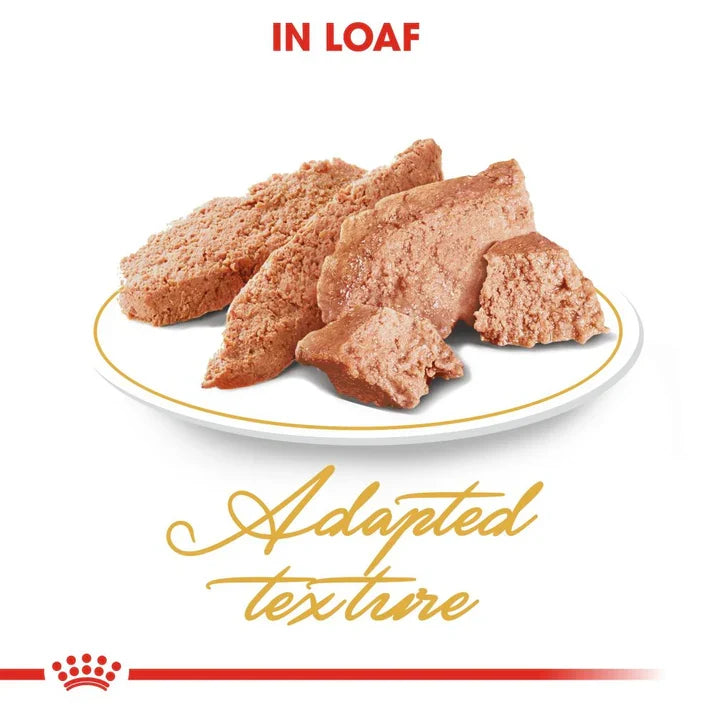 Royal Canin Persian Adult Cat Wet Food
