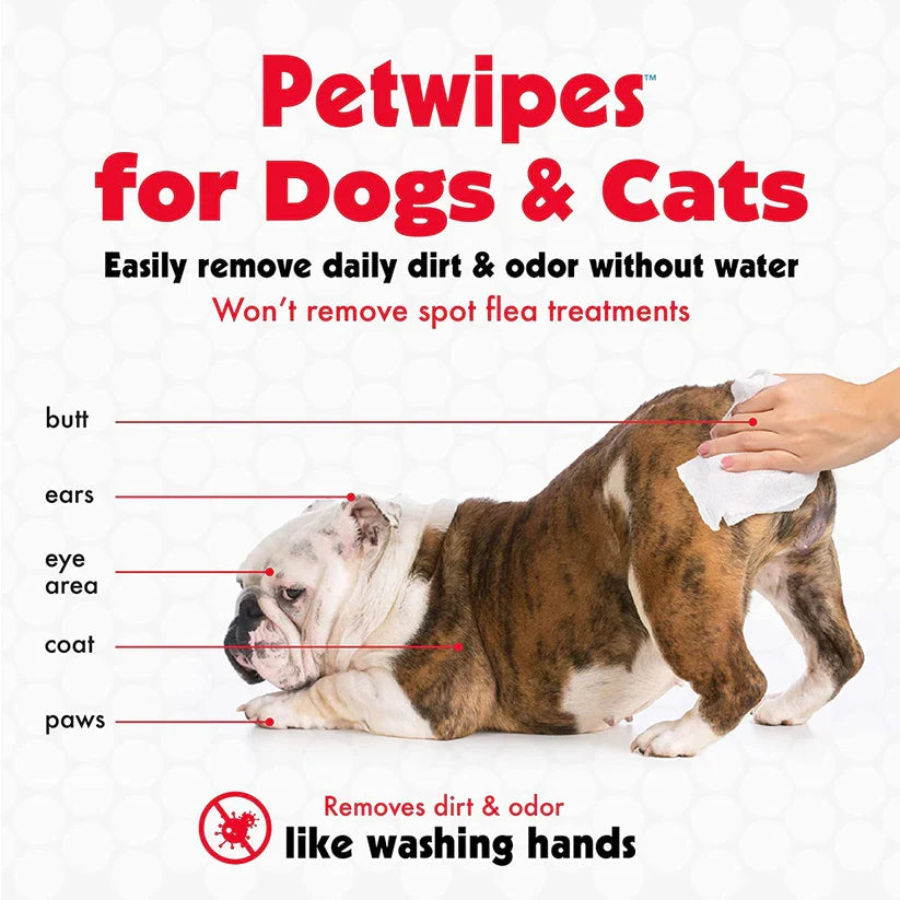 Petkin Travel Pack Pet Wipes Germ Removal for Dogs & Cats