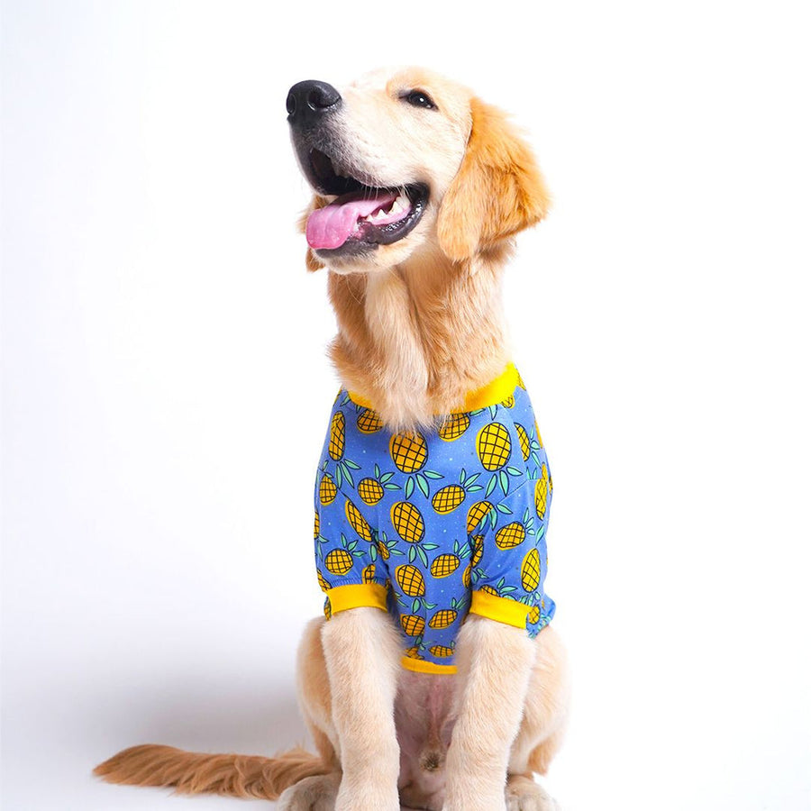 Pets Way Pineapple Printed T-Shirt for Dogs