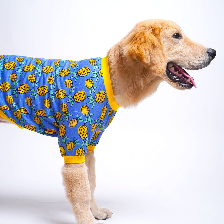 Pets Way Pineapple Printed T-Shirt for Dogs