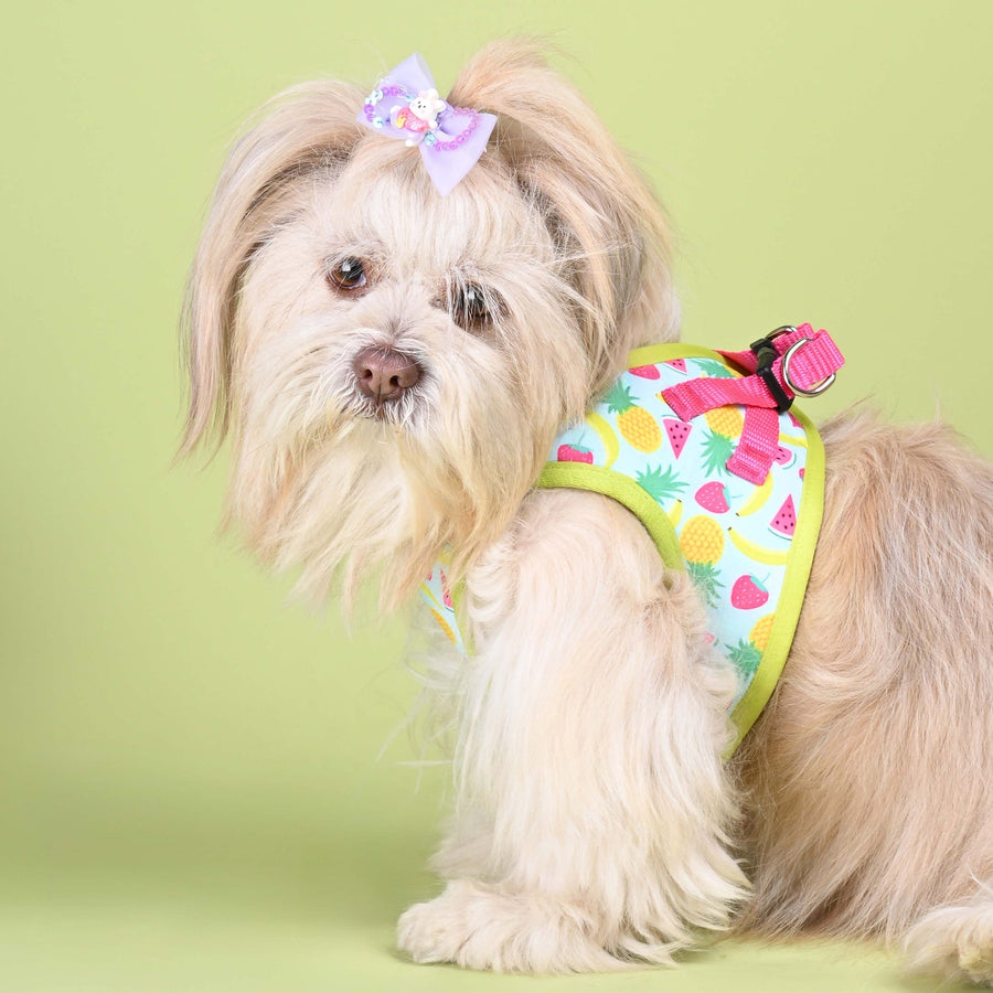 Pets Way Fruity Printed Mesh Harness for Small Dogs