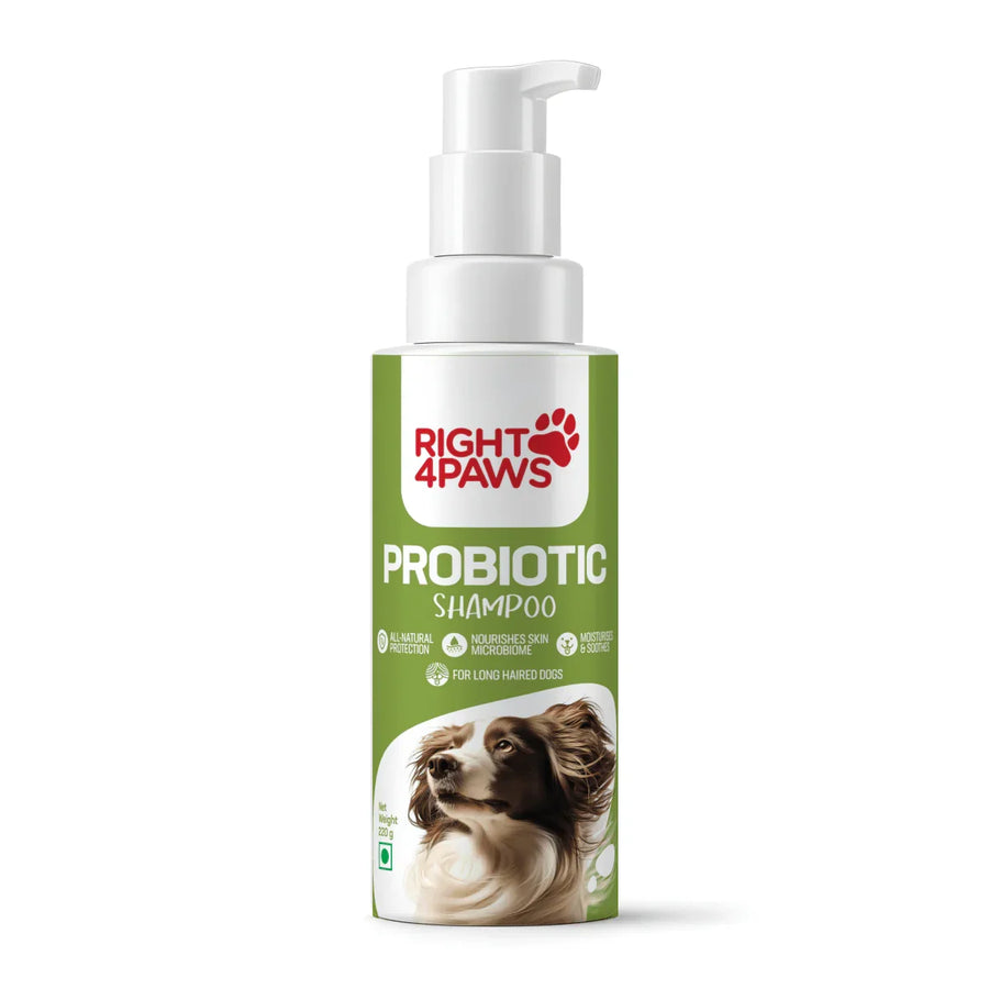 Right4Paws Probiotic Shampoo Liquid for Long Haired Dogs