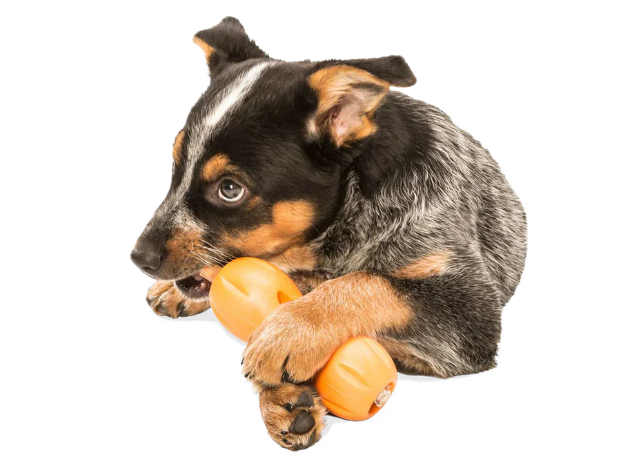 West Paw Zogoflex Qwizl Dogs Treat Toy