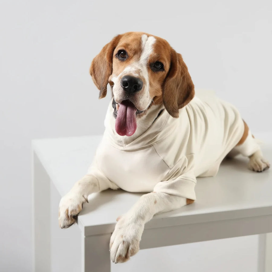 Lemon Tails Style All Weather Solid Dog Hoodies