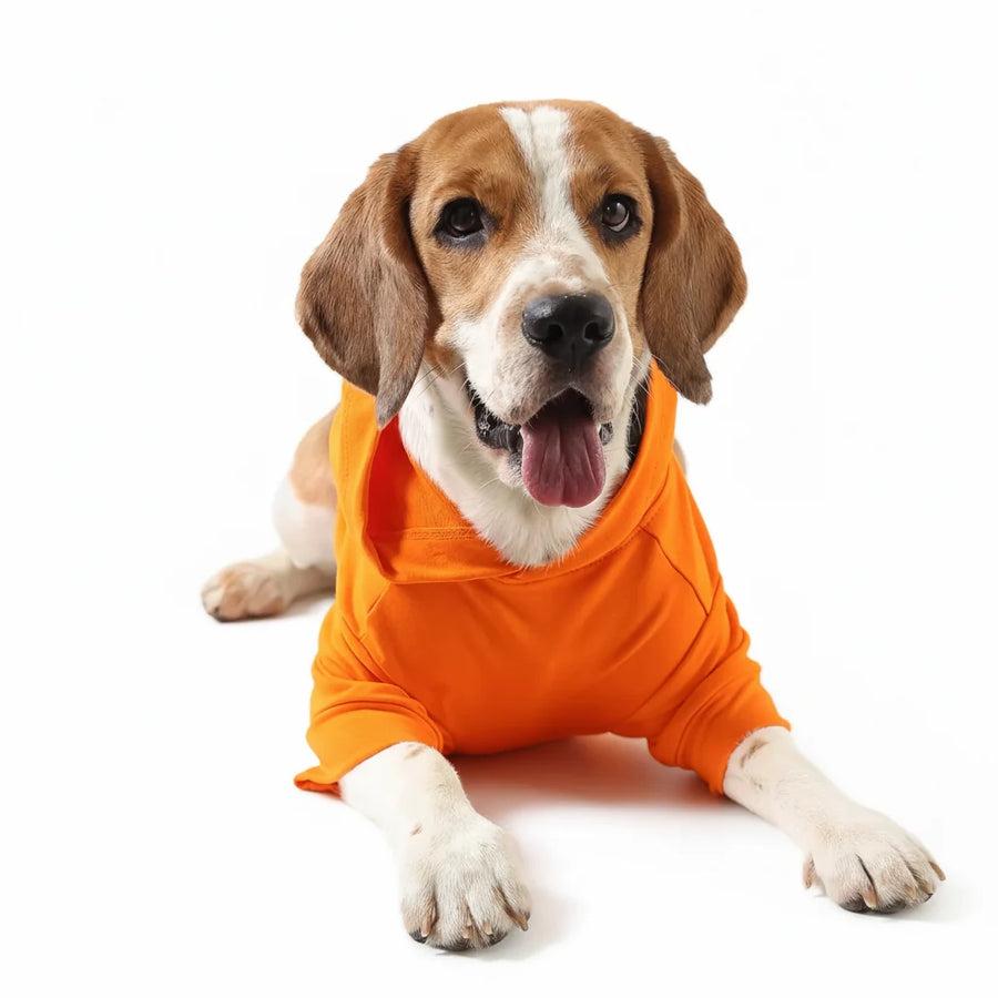 Lemon Tails Style All Weather Solid Dog Hoodies