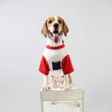 Lemon Tails Pocket Biscuit Dog T-shirt