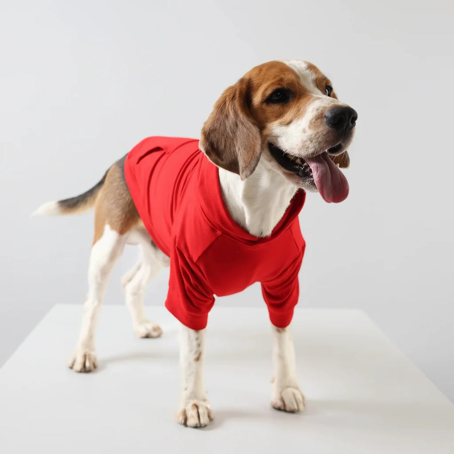 Lemon Tails Style All Weather Solid Dog Hoodies