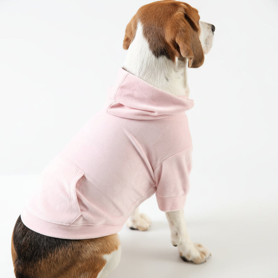 Lemon Tails Style Super Soft Dog Hoodies