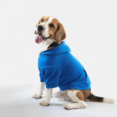 Lemon Tails Style All Weather Solid Dog Hoodies