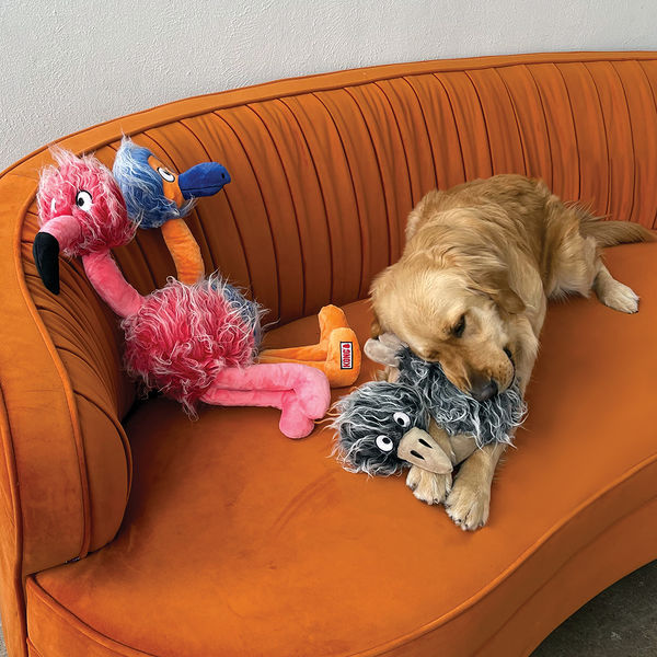 Kong Comfort Jumbo Birds Toy for Dogs