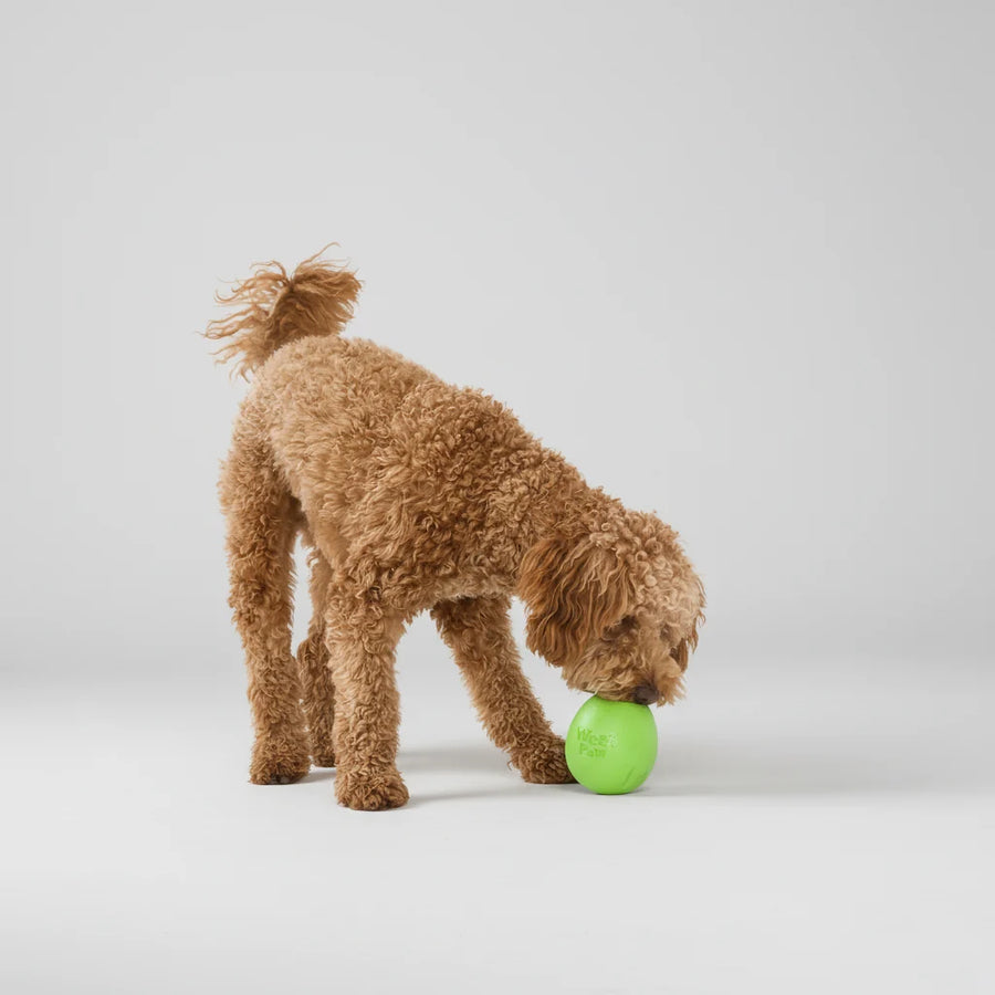 West Paw Rumbl Dog Chew Toy