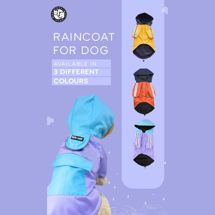 Pets Way Rainstorm Lavender Raincoat for Dogs
