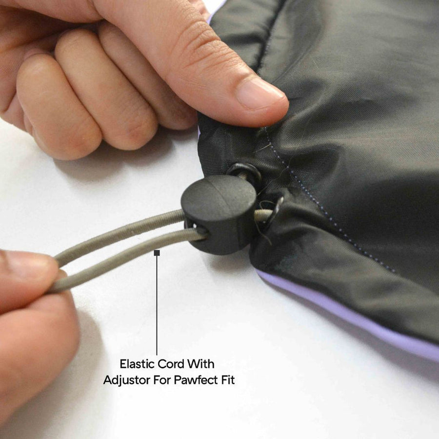 Pets Way Rainstorm Lavender Raincoat for Dogs