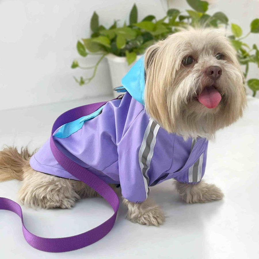 Pets Way Rainstorm Lavender Raincoat for Dogs