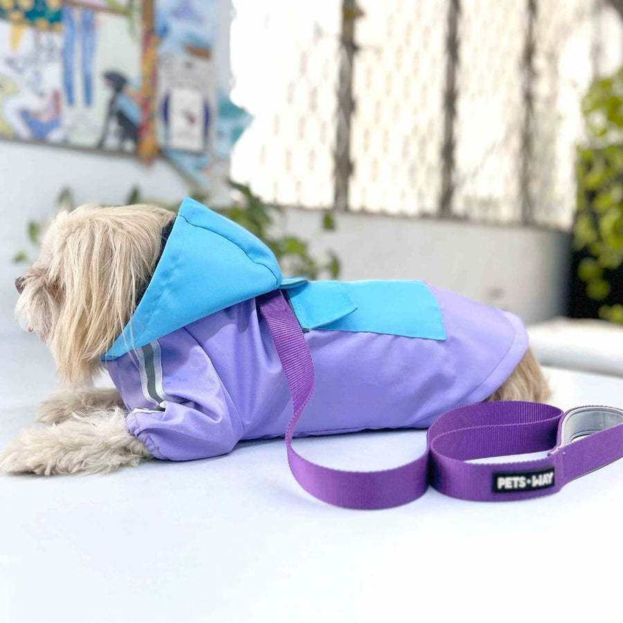 Pets Way Rainstorm Lavender Raincoat for Dogs