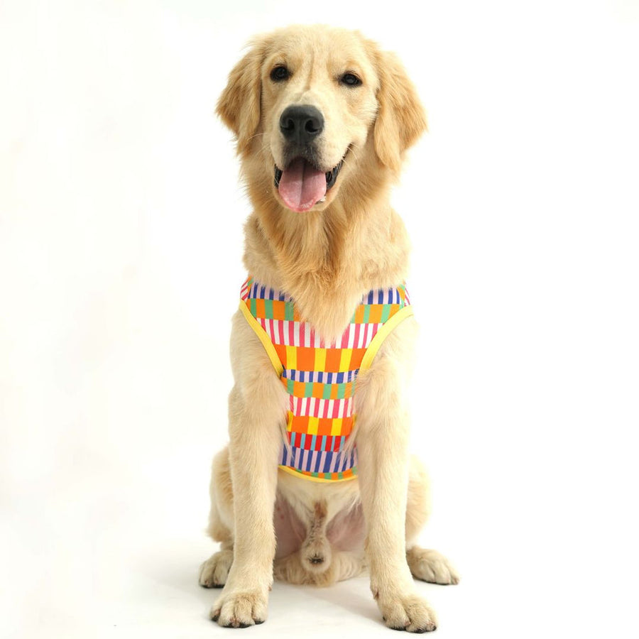 Pets Way Retro Printed Vest for Dogs
