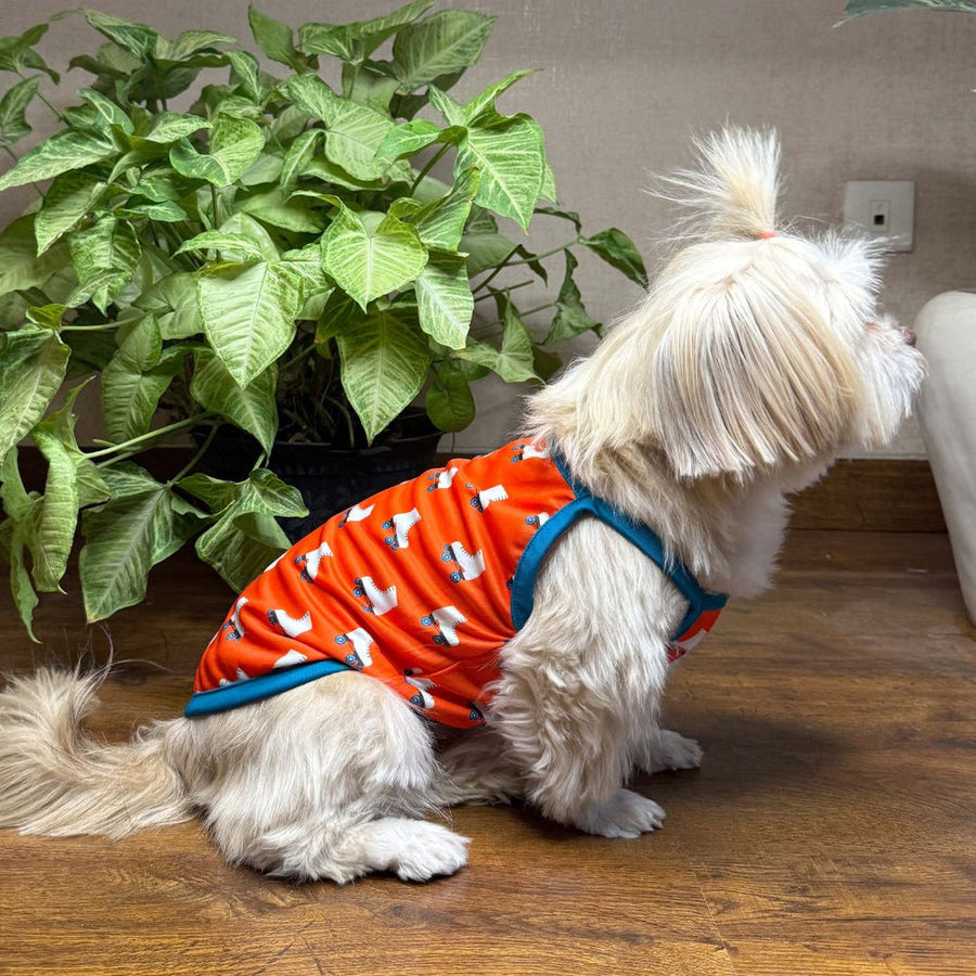 Pets Way Roller Skate Printed Vest for Dogs