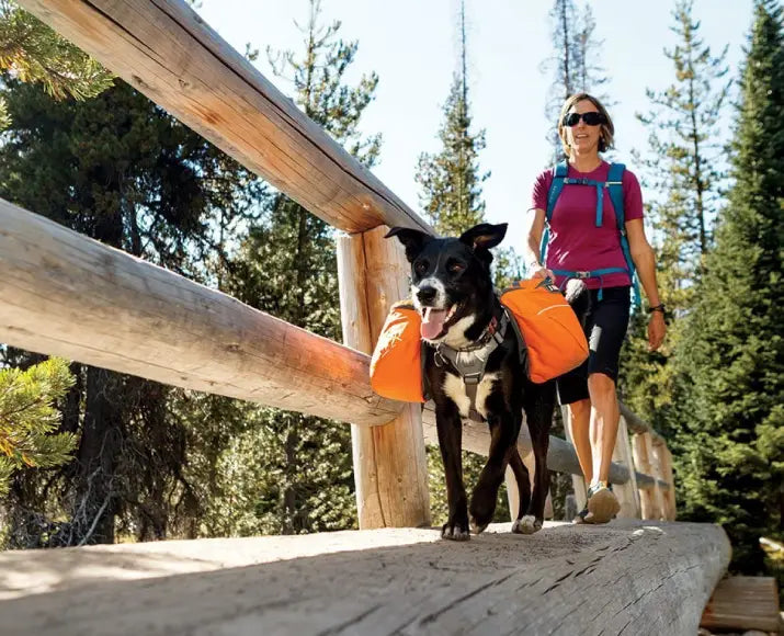 Ruffwear Approach Pack Harness for Dogs