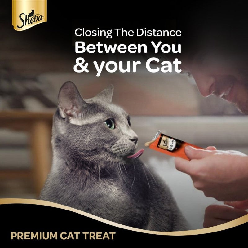 Sheba Maguro Selection Cat Creamy Treats