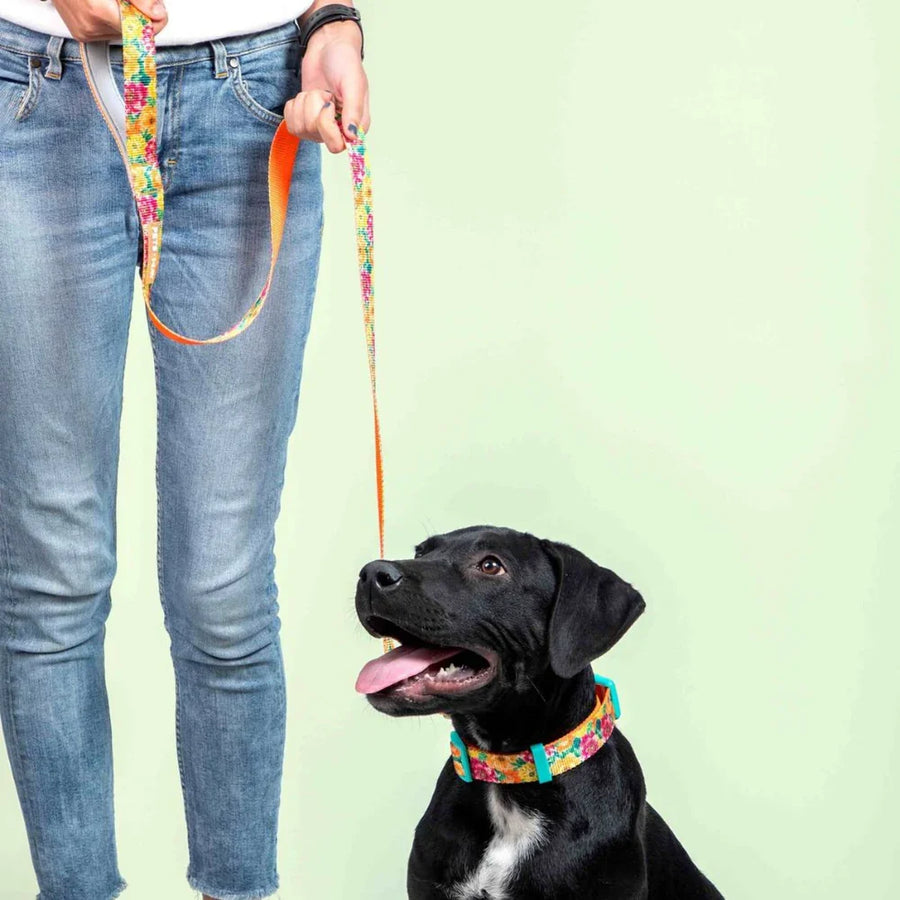 Pets Way Printed Leash For Dogs