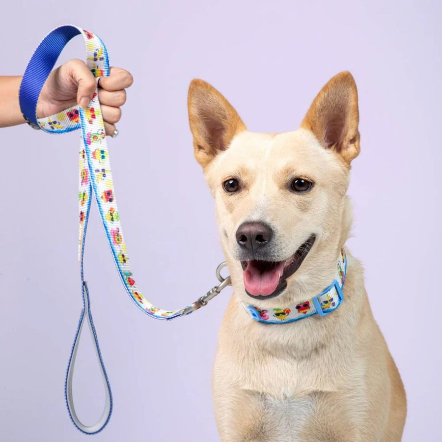 Pets Way Printed Leash For Dogs