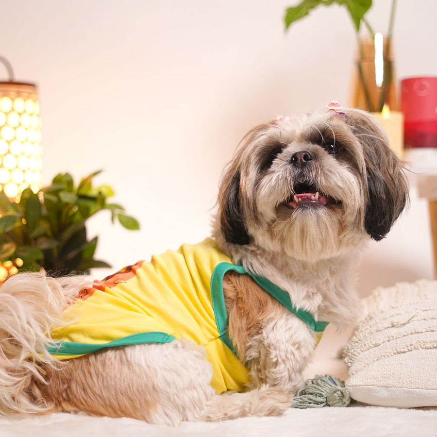 Pets Way Solid Sunshine Little Dreamer Vest for Dogs