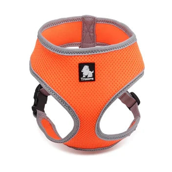 True Love Dog Harness for Small Cats and Dogs