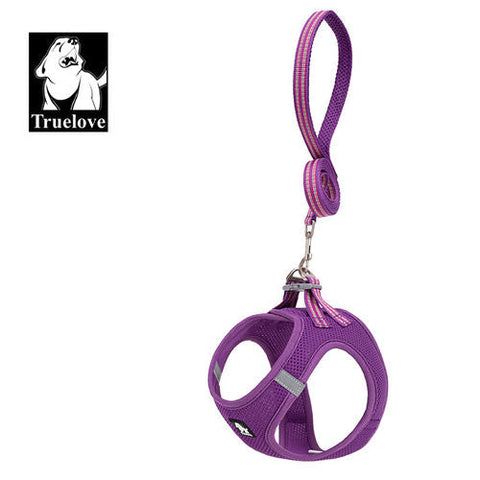 Truelove Mesh Harness & Leash Set for Cats and Small to Medium Dogs