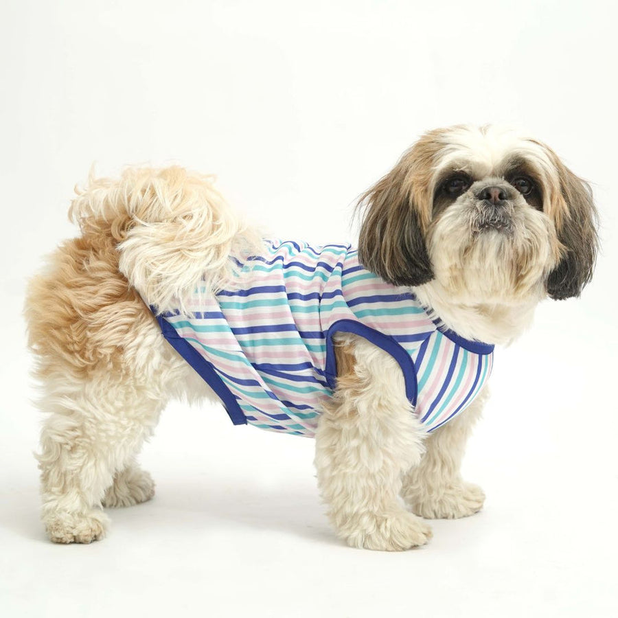Pets Way Tall Tails Printed Vest for Dogs