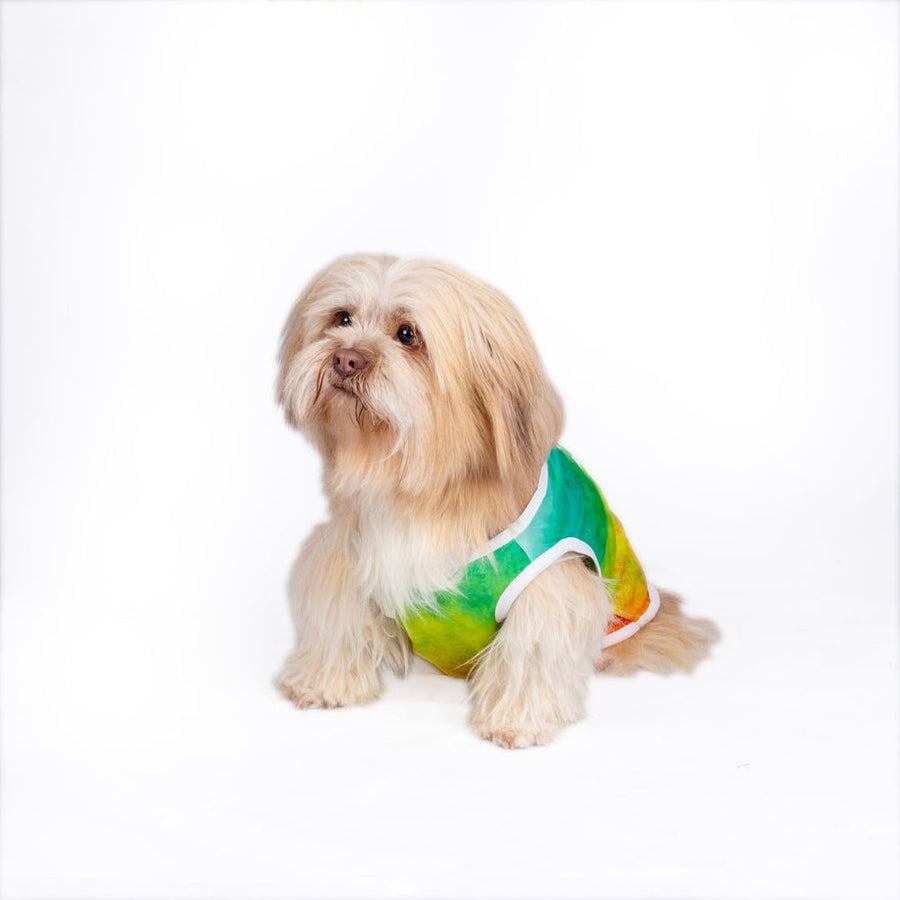 Pets Way Tie & Dye Holi T-Shirt for Dogs