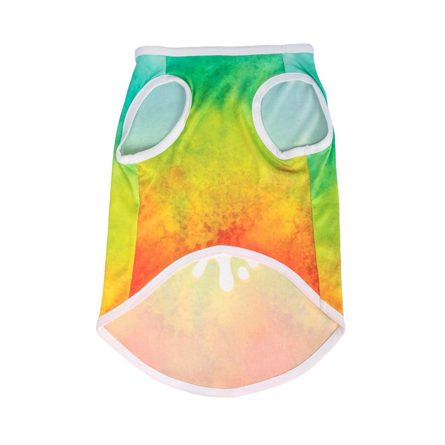 Pets Way Tie & Dye Holi T-Shirt for Dogs