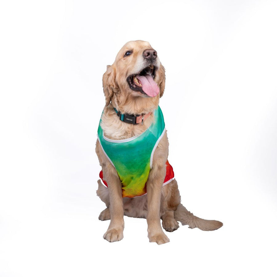 Pets Way Tie & Dye Holi T-Shirt for Dogs