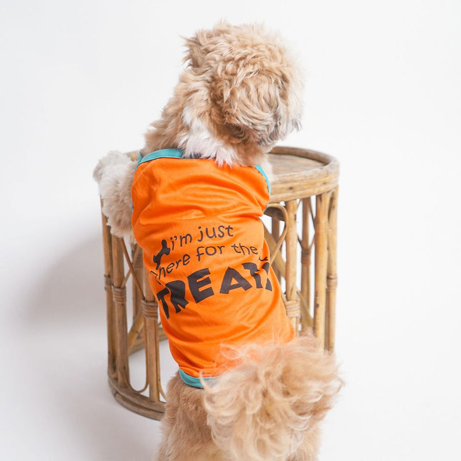 Pets Way Solid Tangerine Treats Vest for Dogs