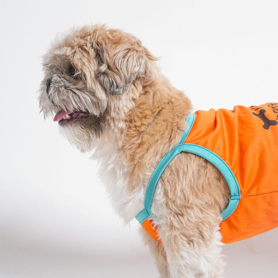 Pets Way Solid Tangerine Treats Vest for Dogs