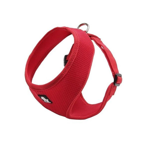 True Love Dog Harness for Small Cats and Dogs