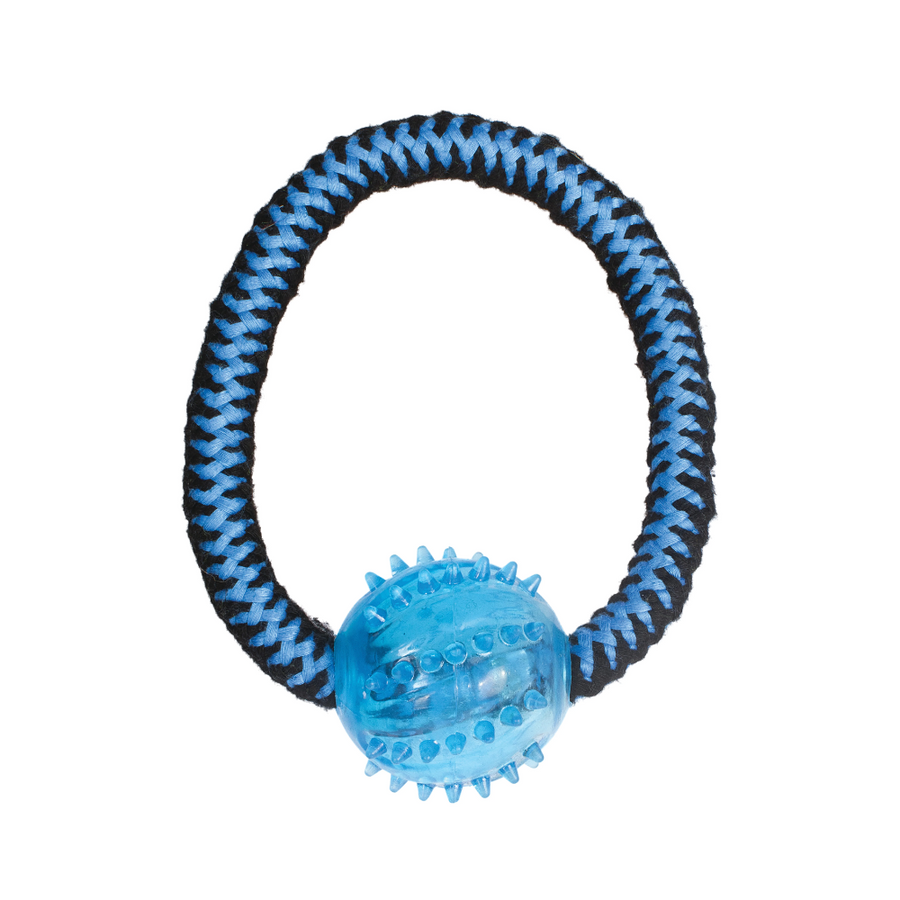 M-Pets Twist Ring Classic Dog Toys
