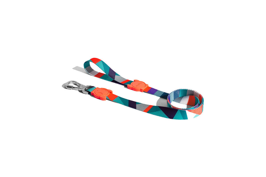 Zee Dog Leash for Dogs - Artsy