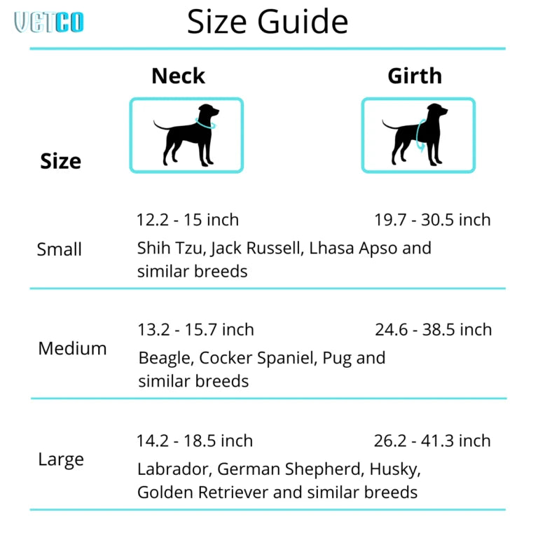Zee Dog Yucca Softwalk Harness for Dogs