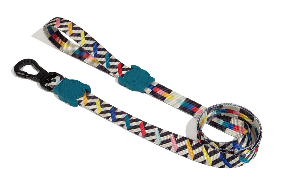 Zee Dog Leash for Dogs - Artsy