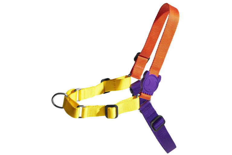 Zee Dog Softwalk Harness for Dogs