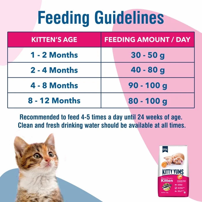 Kitty Yums Ocean Fish 1-12 Months Kitten Dry Food