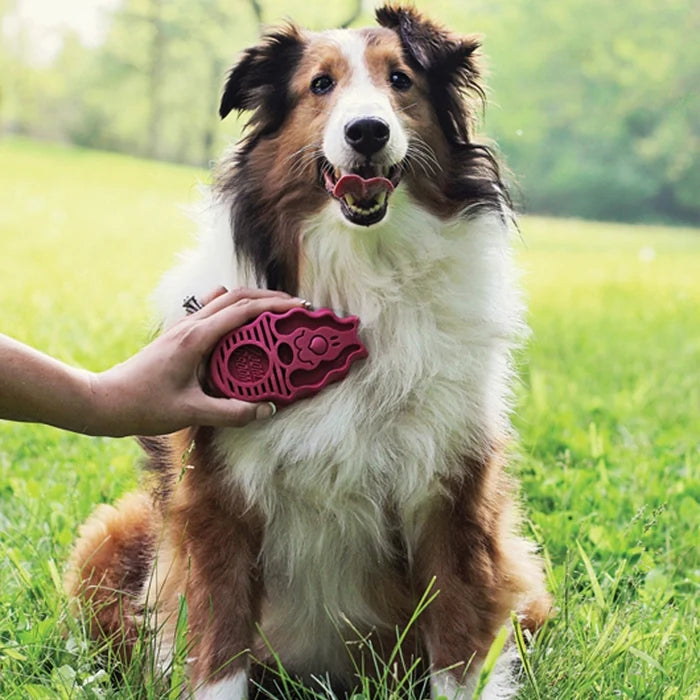 Kong Zoom Groom Raspberry Brush for Dogs