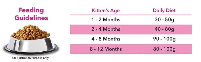 Let’s Bite Kitten Dry Food