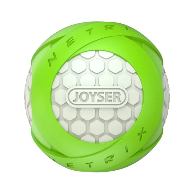Joyser Netrix Ball Dog Toy