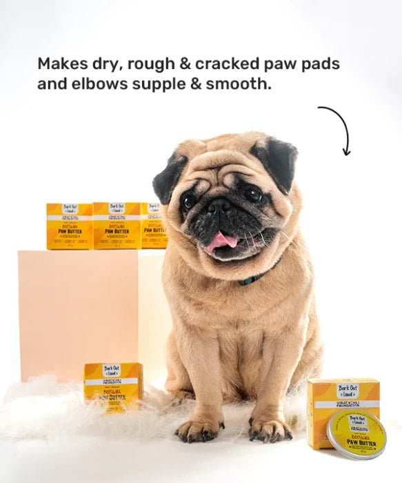 Bark Out Loud Natural Beeswax Dogs Paw Butter