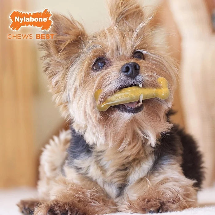 Nylabone Flexi Bone Dog Chew Toy