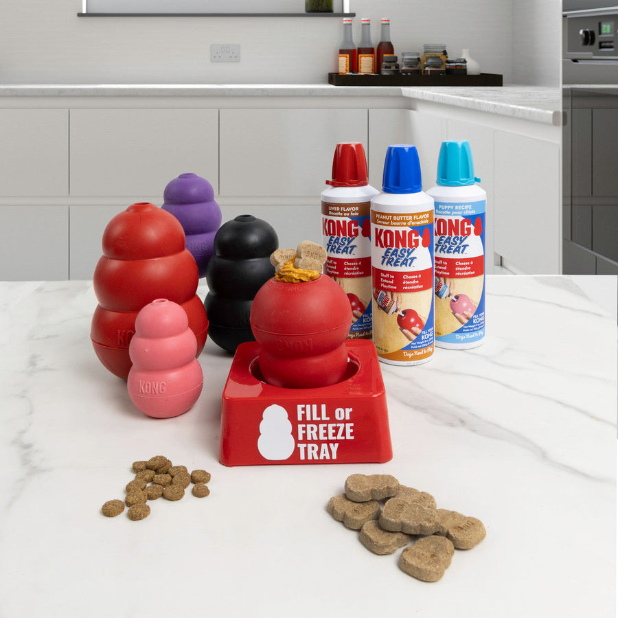 Kong Fill Or Freeze Tray Single Holder Dog Toy