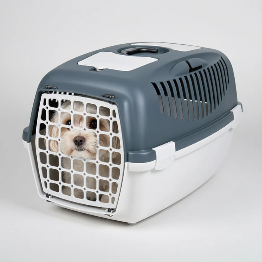 Trixie Capri 3 Pet Carrier