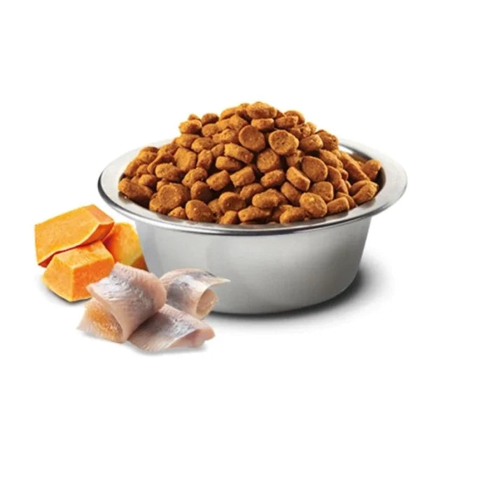 N&D Ocean Cod Pumpkin and Cantaloupe Melon Medium & Maxi Puppy Dry Food