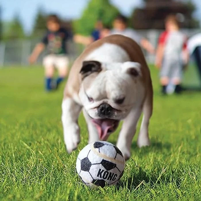 Kong Sport Balls for Dogs